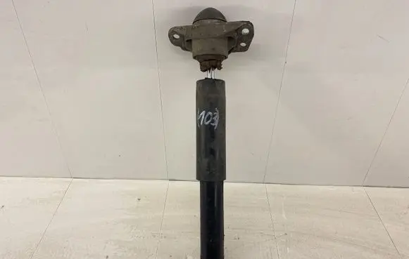 Volkswagen Golf V Rear shock absorber/damper 1K0513029