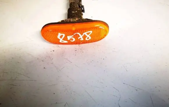 Front fender indicator light