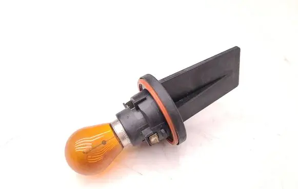Mercedes-Benz Sprinter W906 Front indicator light 15620102