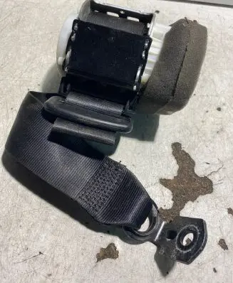 Ford Focus Rear seatbelt BM51611B68BA 34130653