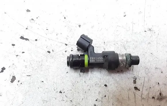 Renault Scenic RX Fuel injector fby2850