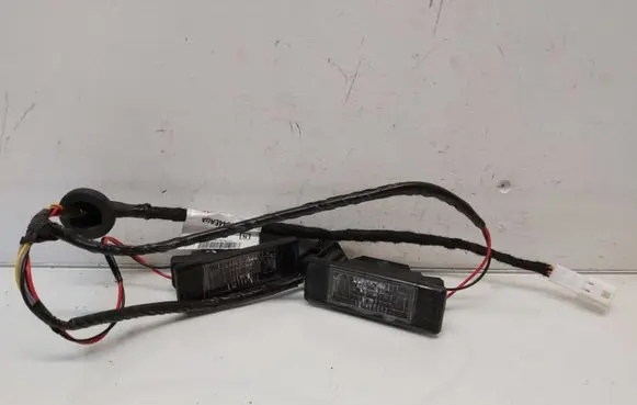 Nissan Qashqai Number plate light 25300100