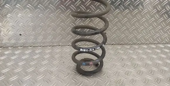 Rear coil spring
