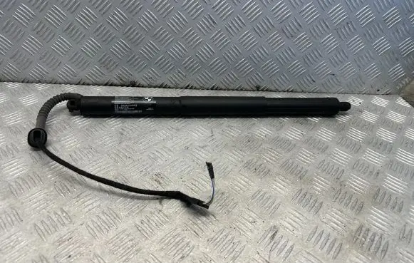 Tailgate strut