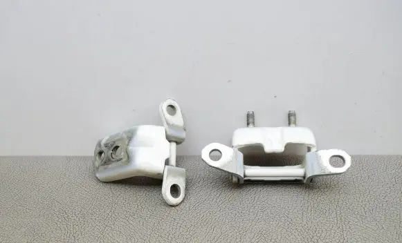Nissan Juke I F15 Rear door lower hinge 4EAL