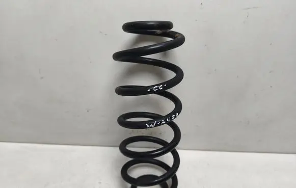 Volkswagen PASSAT CC Rear coil spring 