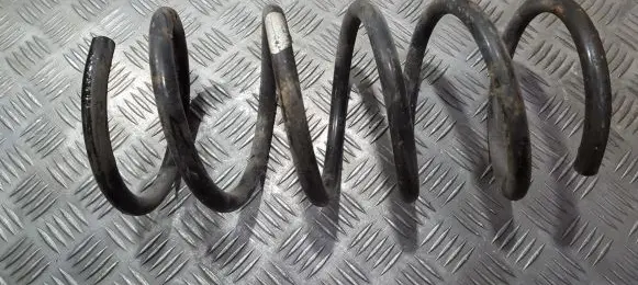 Rear coil spring
