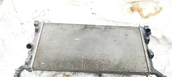 Renault Laguna III Coolant radiator 214100004R