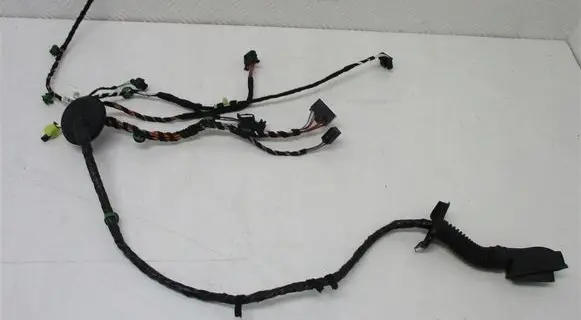 Volkswagen Arteon Front door wiring loom