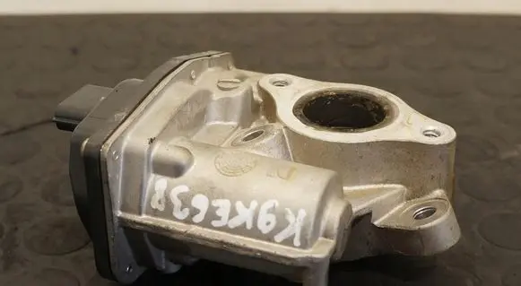 Renault Clio IV EGR valve
