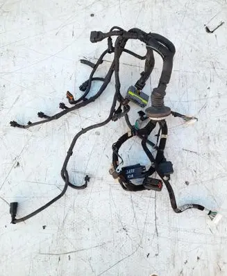 Engine installation wiring loom