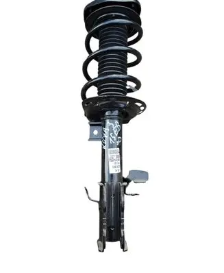 Ford Kuga III Front shock absorber with coil spring LX61-18045-EAE