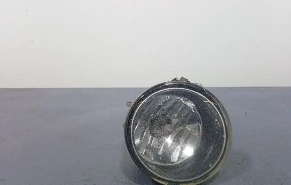 BMW X6 E71 Front fog light 7311350