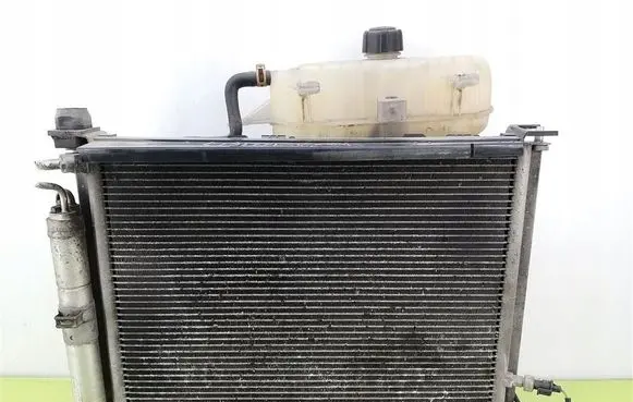 Renault Clio III Radiator set 8200688390