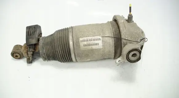 Porsche Cayenne (9PA) Rear shock absorber/damper 7L5512022G