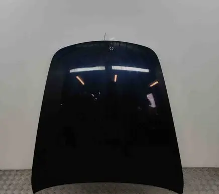 Porsche Boxster 987 Engine bonnet/hood 99751101100