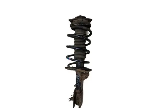 Nissan Qashqai Front shock absorber with coil spring 54303BR00B 824903007721