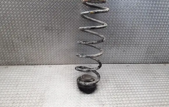 Volkswagen Golf IV Rear coil spring