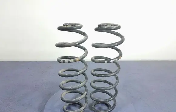 Rear coil spring