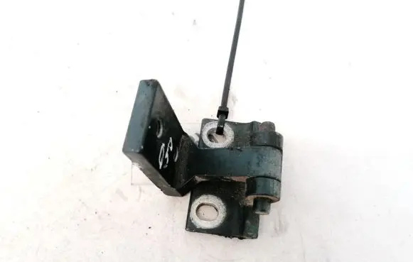Rear door lower hinge