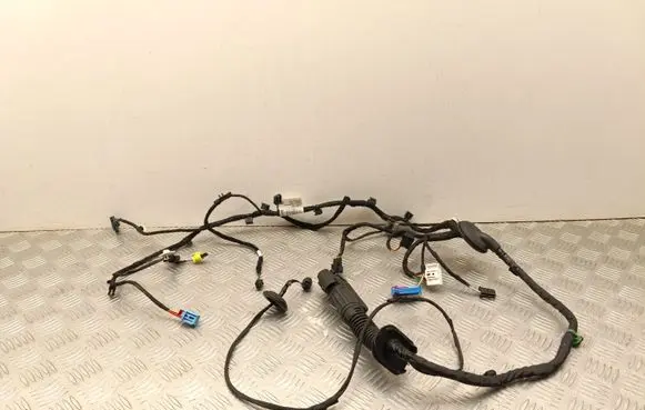 Skoda Enyaq iV Front door wiring loom 5L0971121
