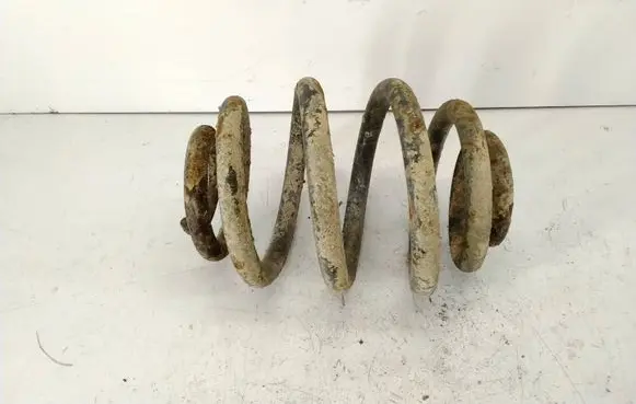 Rear coil spring