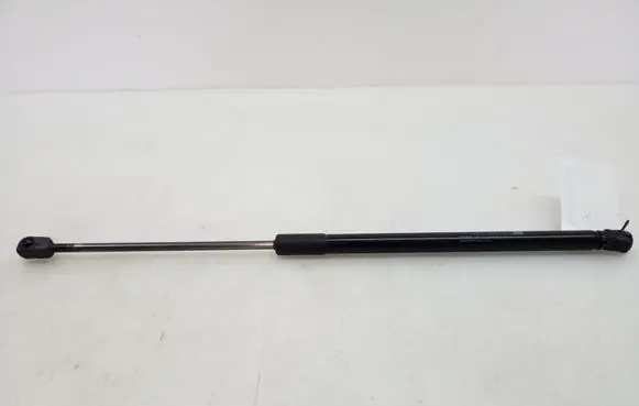 Tailgate strut