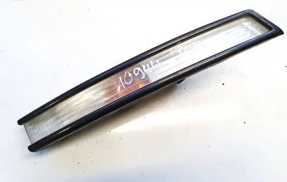 Volkswagen PASSAT B6 Front indicator light 3c0807718c