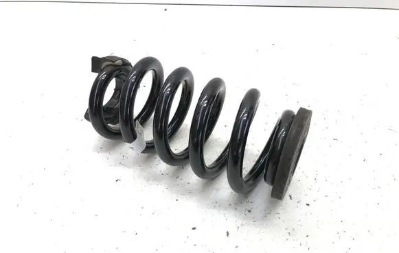 Rear coil spring