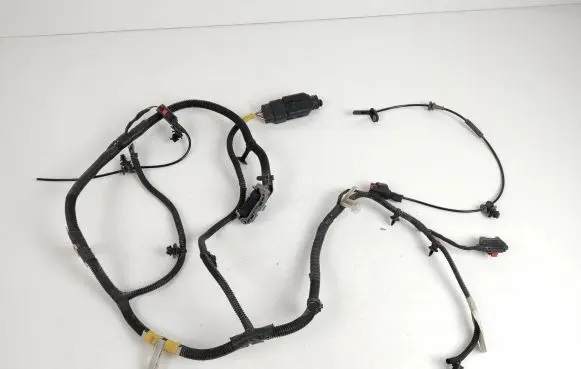 Tesla Model 3 Other wiring loom 206796801B