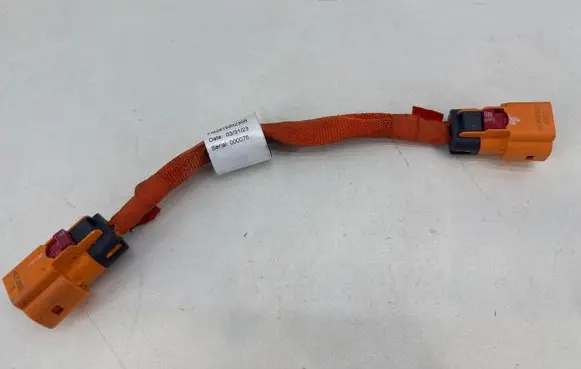 Fisker Ocean Other wiring loom FM291580230B