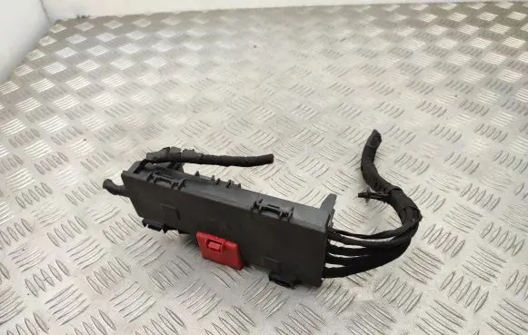 Ford Ecosport Positive wiring loom 