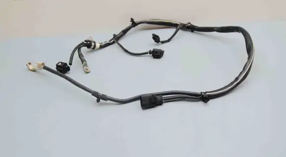 Other wiring loom