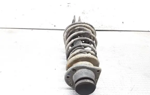 Fiat Doblo Front shock absorber with coil spring
