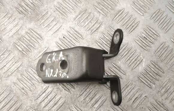 Lexus NX Rear door lower hinge 