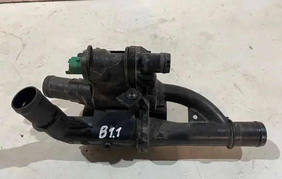 Thermostat/thermostat housing