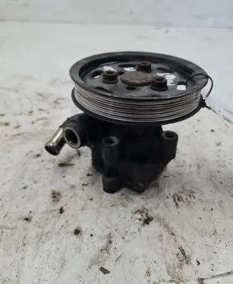 Volkswagen PASSAT B5.5 Power steering pump