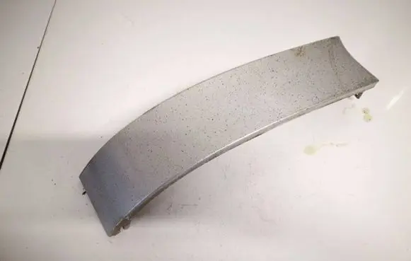 Rear/tail light trim molding