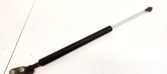 Tailgate/trunk strut/damper