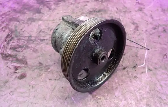 Renault Thalia I Power steering pump