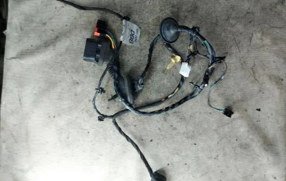 Rear door wiring loom