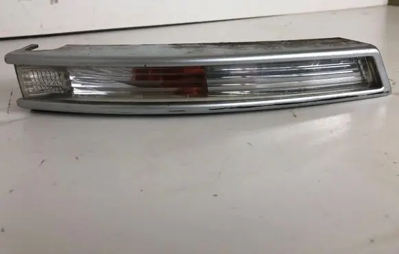 Volkswagen PASSAT B6 Front indicator light 3C0953042L