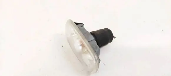 Front fender indicator light