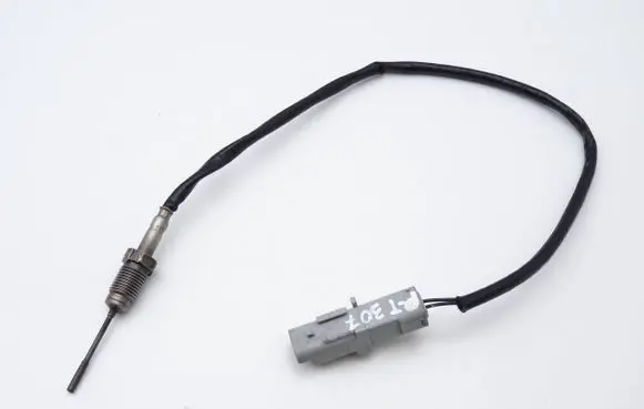 Peugeot 307 Exhaust gas temperature sensor 