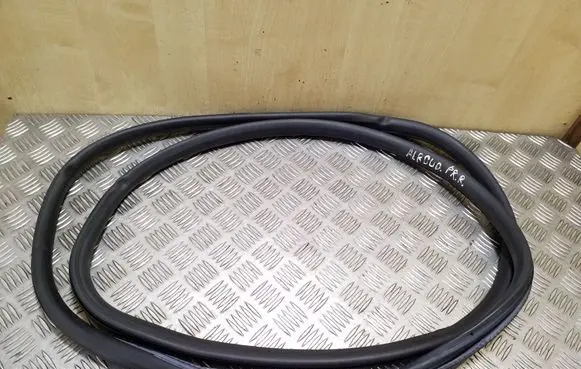 Audi A6 Allroad C6 Front door rubber seal
