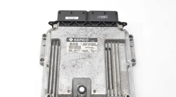 Hyundai Elantra Engine control unit/module 391102BAB4