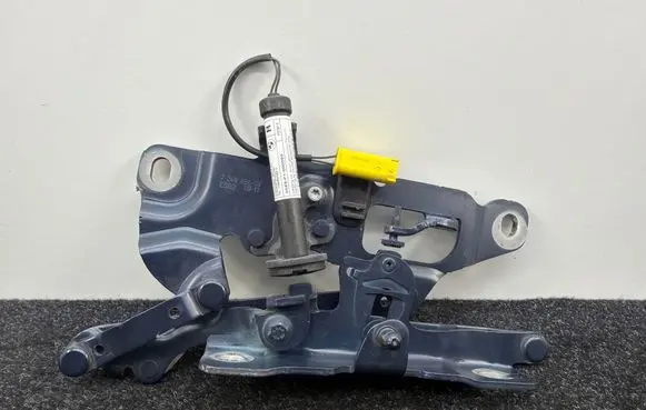 BMW 6 F06 Gran coupe Engine bonnet/hood hinges 7249888 7263056