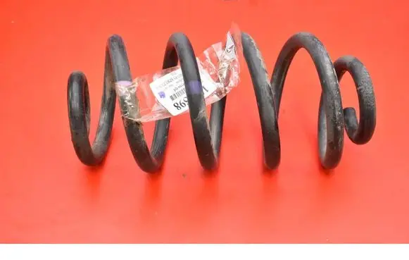 Rear coil spring