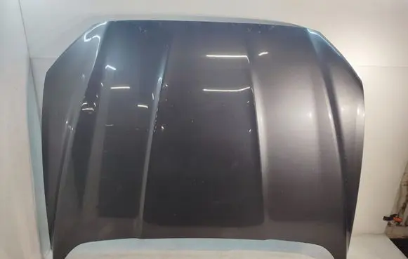 Engine bonnet/hood