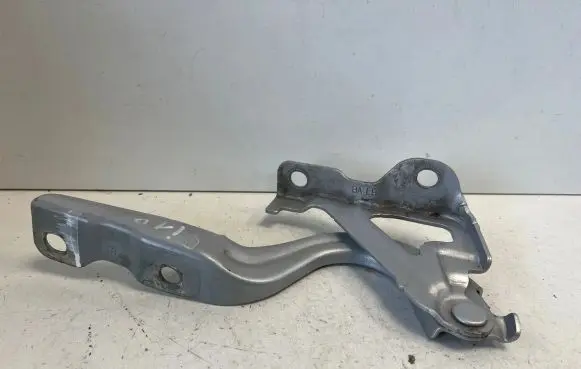 Engine bonnet/hood hinges